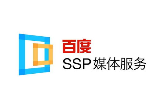 统计蜘蛛池